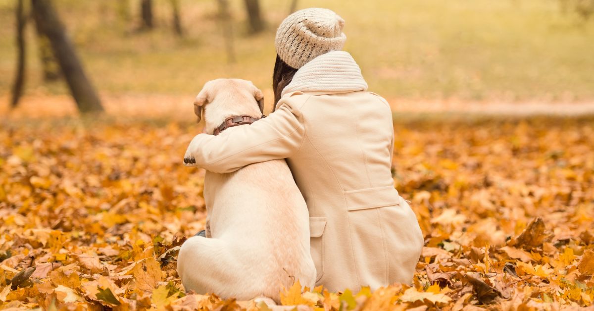 Young girl sitting with her yellow Labrador Retriever in the leaves