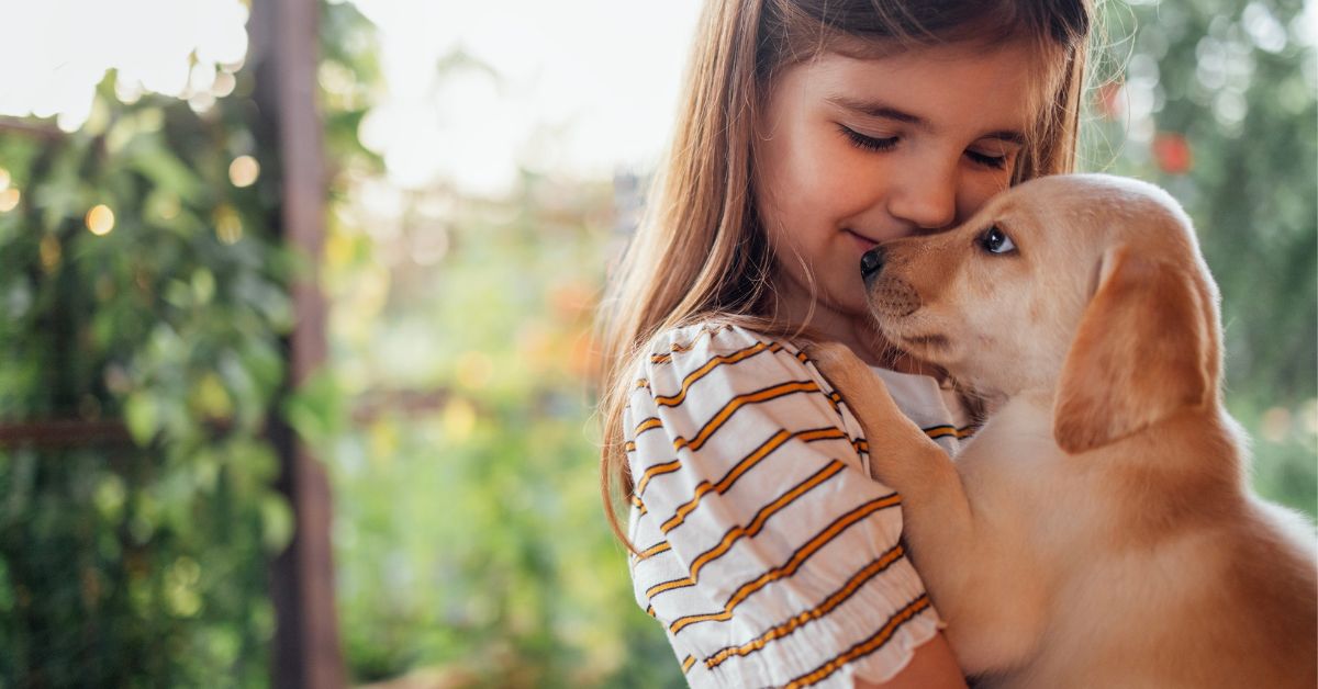 Little girl with new Labrador Retriever puppy